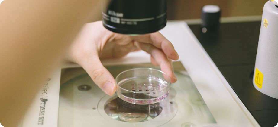 胚盤胞移植の実施